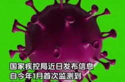 新型冠状病毒2023变异特点（变异后的新冠病毒）