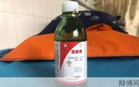 董某民受讯画面曝光，案件有哪些新进展？