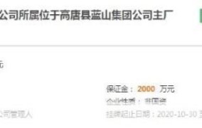 高唐蓝山集团有哪些主要业务？
