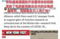 官方回应新冠最有可能的起源（新冠最开始谁发现的）