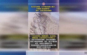 央视揭批农村生活污水治理工程造假真相如何？