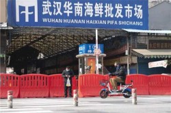 华南海鲜市场疫情或冷链引入病毒（武汉疫情起源华南海鲜市场）