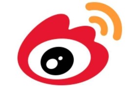 新浪是哪个国家的网站？它的创立背景是什么？