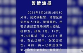 西安东大街杀人案侦破进展如何？