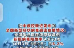 专家谈第二波感染第一高峰期（6月底新冠出现第二波高峰期）