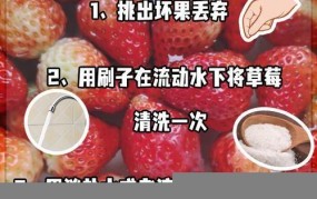 草莓如何清洗才能更干净？有哪些清洗技巧？