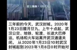 全国疫情第一个放开的城市，全国疫情是什么时候放开的