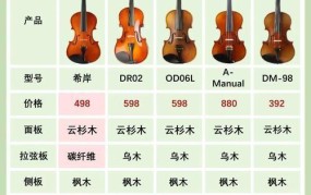 小提琴有多少根弦？初学者如何选择合适的乐器？