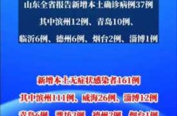 山东今日新增确诊病例，山东新增确诊病例