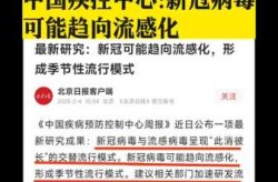2025年山东疫情最新消息今天（2025新冠最新消息今天）