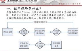 出口信用保险政策解析与申请流程？