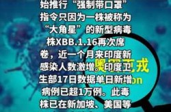 新毒株已入我国!爆发国又开始强制佩戴口罩（国内现在流行的新冠毒株）