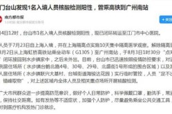 20天内9地通报返乡人员阳性 涉5趟高铁（过年高铁站接返乡工作人员）