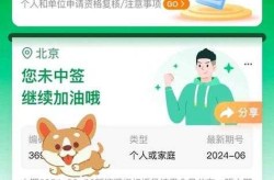 北京市小客车摇号查询网，北京摇号中签结果查询