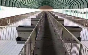 养猪大棚建设需要注意哪些要点？养猪大棚投资回报率分析？