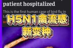 h7n7禽流感最新消息，全球禽流感最新报道
