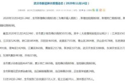 2020年11月疫情严重吗（2020年11月疫情严重的地方）