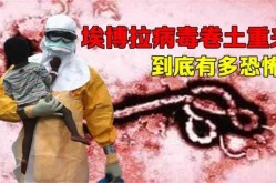 世卫组织在哪一年宣布西非抗击埃博拉疫情（2014西非埃博拉病毒）