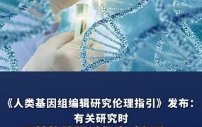 编辑后的人胚用于生育是否合法？官方有何规定？
