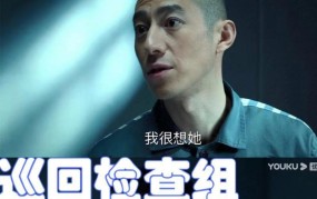 巡回检察组一共有多少集？剧情亮点抢先看