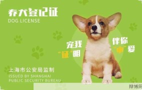 狗办证需要哪些手续？如何为宠物狗办理证件？