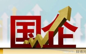 国企改制案例解析，改革背后的机遇与挑战