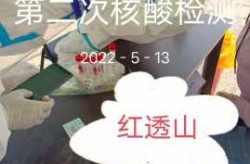 广州核酸检测最新消息，2025广州核酸最新动态