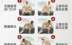 武术基本功练习有哪些要点？如何快速提升？