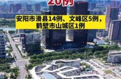 河南新增5例本土无症状感染者，河南3例无症状感染者