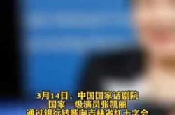 张凯丽为吉林省疫情捐款100万（吉林省最新疫情）
