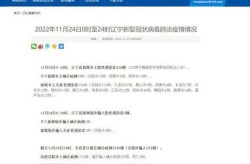 辽宁新增20例本土确诊病例（辽宁发现一例）