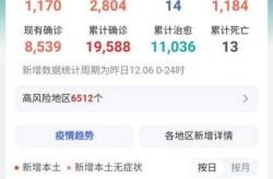 国内第二轮疫情最新消息，北京疫情最新消息