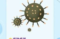 2024年流感病毒是什么型病毒呢,现在的流感病毒叫什么