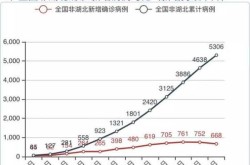 农村如何应对疫情冲击，中国如何应对入世带来的冲击