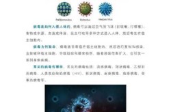 现在出现什么病毒了最新消息（最近新出现的病毒叫什么）
