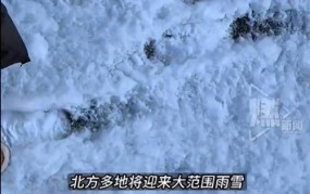 东北地区大暴雪如何应对？哪些地区受到影响？