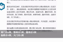 湖北省新增本土无症状感染者42例（湖北新增本土确诊病例）