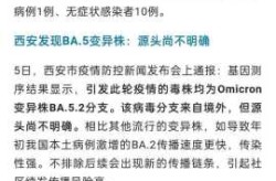 2023年疫情是什么时候结束的呢，2025年疫情结束吗