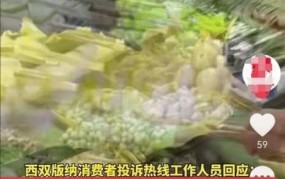 官方回应西双版纳烧烤5串170元，消费者权益保护