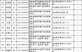 朝阳市人力资源和社会保障局提供哪些服务？