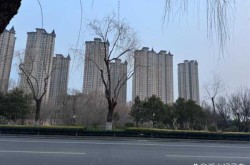 临沂兰山哪个小区封了，临沂兰山区高档小区