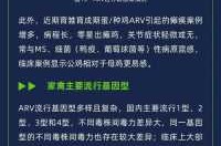 2024年的病毒有什么症状（2024年疫情）