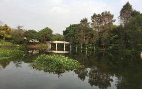 广州红盾网的企业注册流程是怎样的？