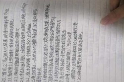 新闻联播100字左右，新闻联播100字摘抄