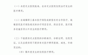 向政府申请大病救助的条件是什么？如何办理？