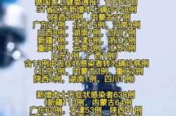 31省新增本土158例，31个省今天新增多少例