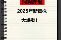 2023年又有新毒株出现了吗（2023最近爆发的病毒）