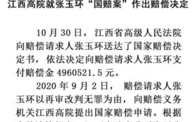张玉环案申请赔偿，事件进展如何？