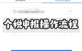 个人所得税网页版操作流程？如何在线申报？