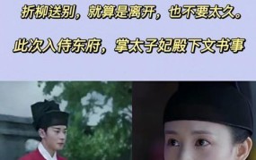 鹤唳华亭讲述的是怎样的故事？